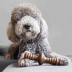 Benebone Zaggler Rolling Dog Chew Toy for