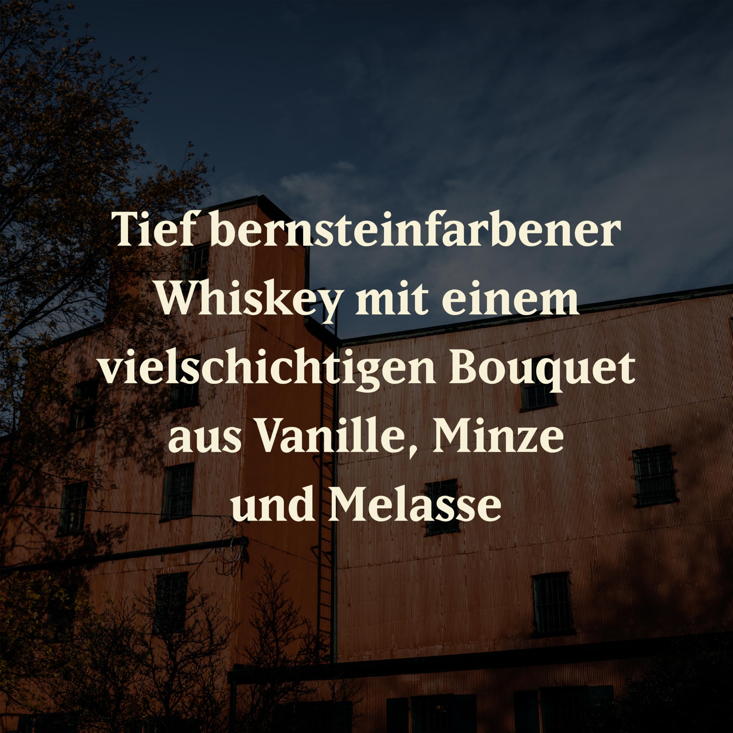 Buffalo Trace Kentucky Straight Bourbon Whiskey (1 x 0.7 l) 8