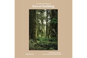 The Healing Magic of Forest Bathing: Finding Calm, Creativity, and Connection in the Natural World
