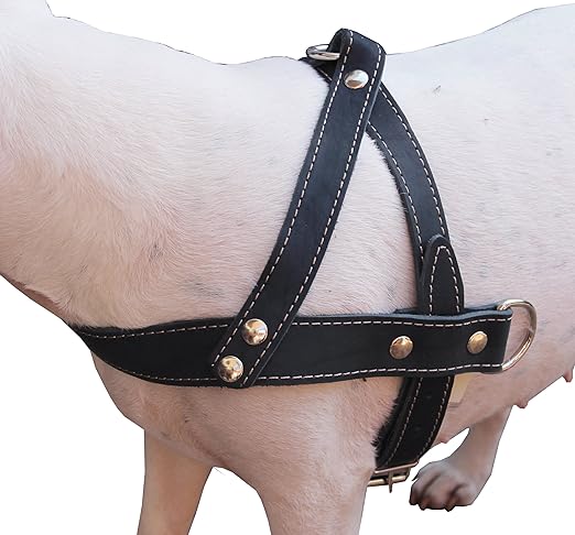 dog pulling harness amazon