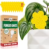 Super Ninja Fungus Gnat Killer 30 Pack Indoor Plant Traps Non-Toxic Yellow view 1