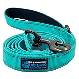Max and Neo Reflective Nylon Dog Leash - We Donate