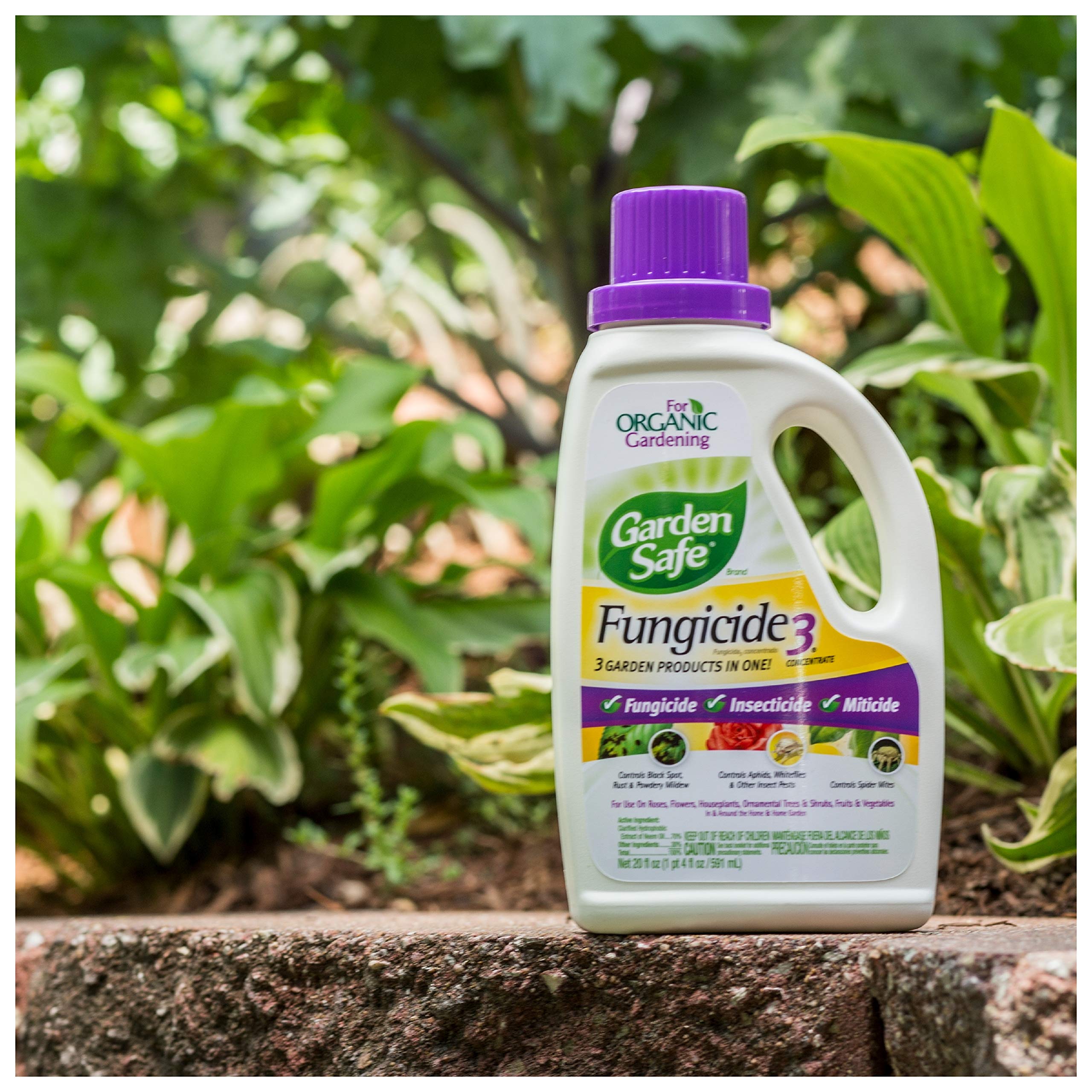 Garden Safe 510992 Fungicide3 Concentrate (HG10411X) (20 fl oz) Buy