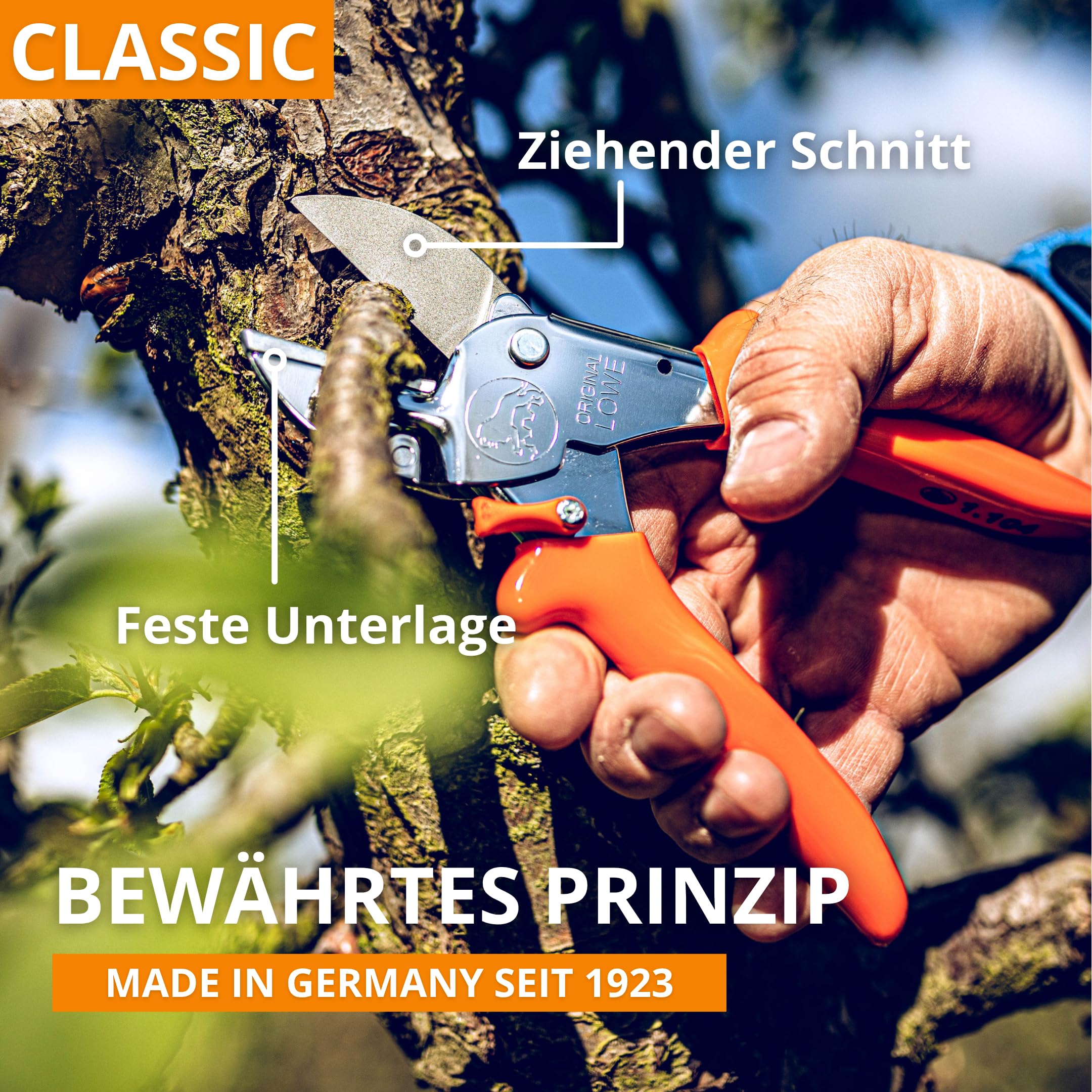Original LÖWE 1 Profi Amboss-Gartenschere 1.104 mit rostfreier Stahlklinge und Antihaftbeschichtung - robuste und scharfe Schere aus rostfreiem Stahl eignet sich ideal für Holzarten wie Buche Esche 6