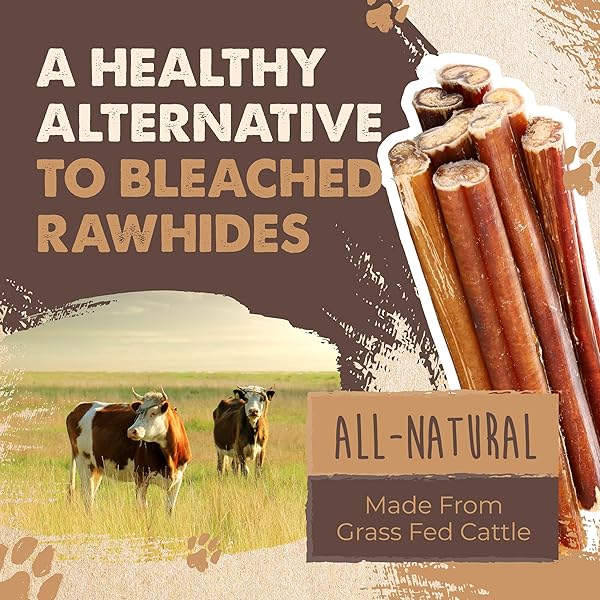 MIGHTY PAW NATURALS BULLY STICKS FOR SMALL & MEDIUM DOGS – GRASS FED BEEF CHEWS. BULLY STICKS FOR LARGE DOGS. LOWER ODOR STICK TREAT. SINGLE INGREDIENT (6″ – 10 PACK)