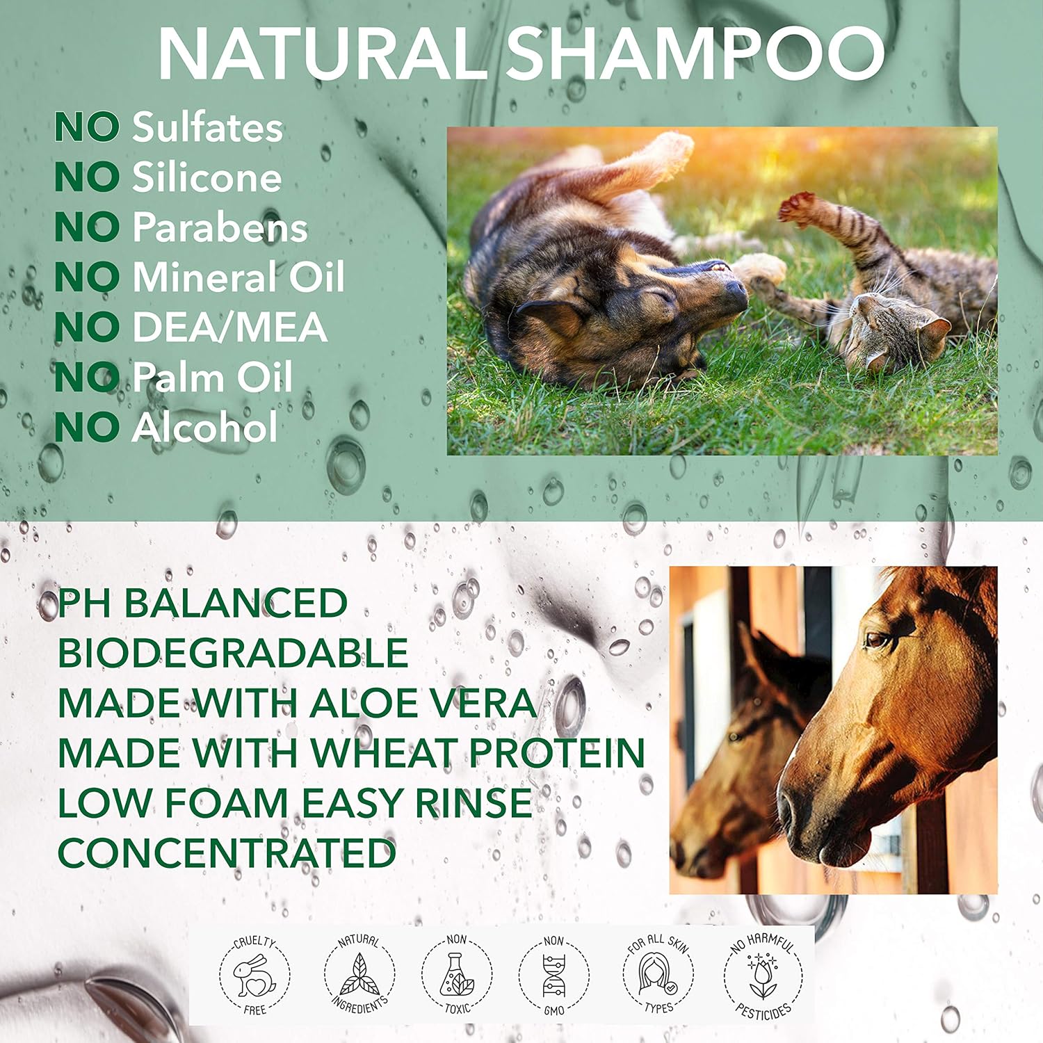 POO FREE Unscented Dog Shampoo - Fragrance-Free for Sensitive Skin & Allergies - 99% Natural & pH 5.5 - 250ml - Image 3