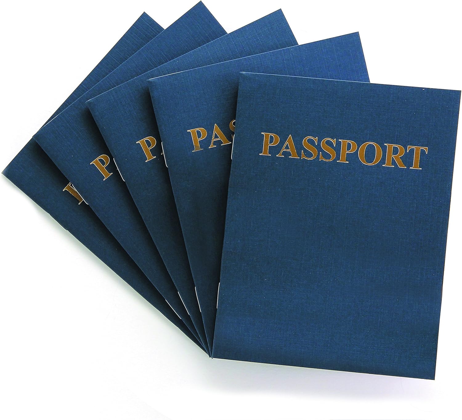 Hygloss Products, Inc Blank Passport BookFun Pretend