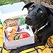 The Dapper Dog Box - Curated Fun Themed Dog Toys, Treats and Accessories Subscription: Large-Extra Large Dog (36 +LBS)