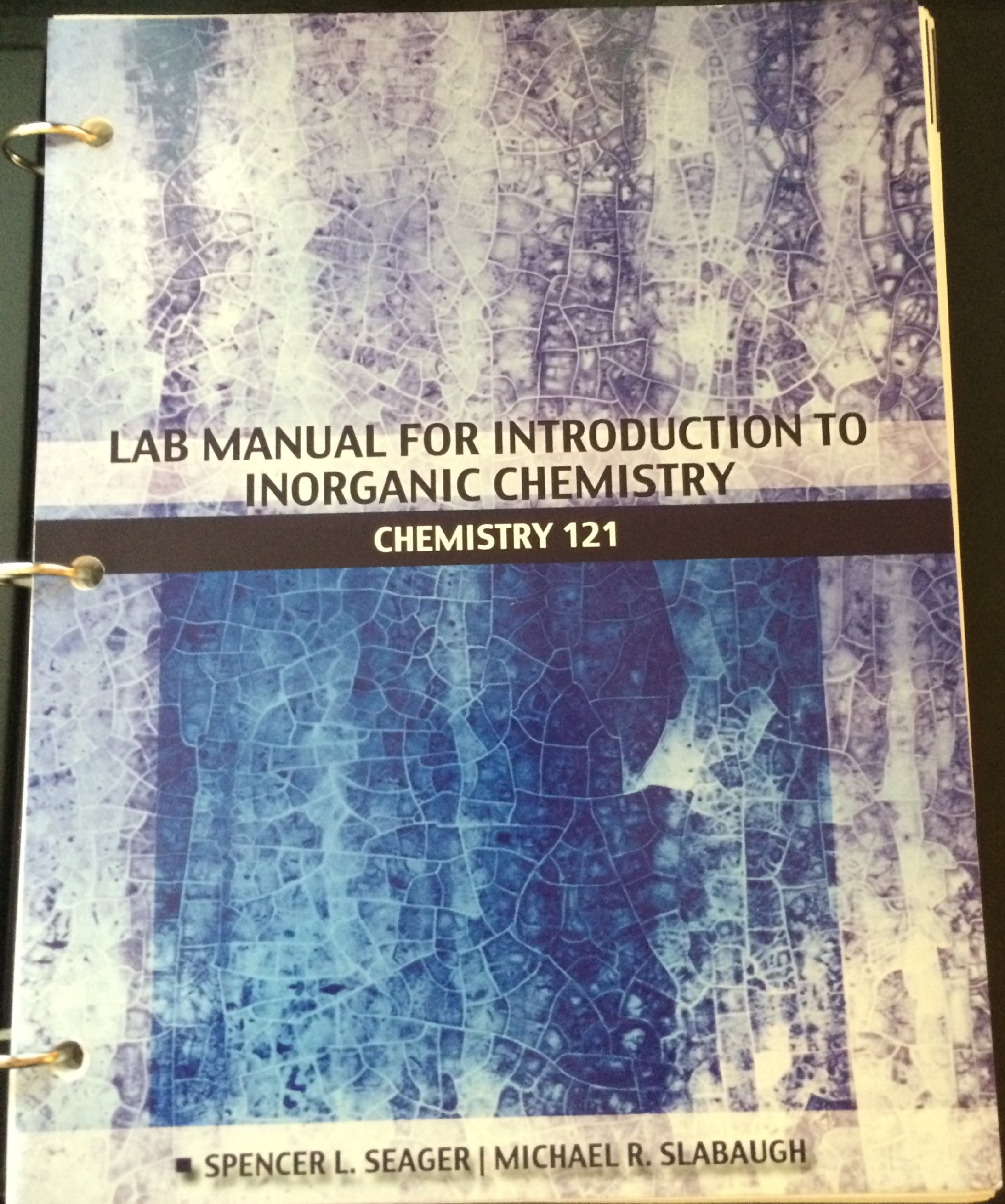 Introduction to Inorganic Chemistry + Lab Manual -SEAGER/SLABAUGH  [Paperback] [Jan 01, 2014] Spencer L. Seager and Michael R. Slabaugh:  Spencer L. Seager, ...