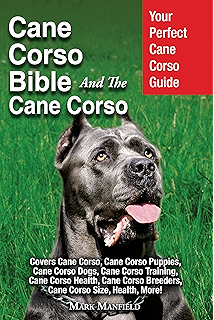 Cane Corso Cane Corso Book For Care Costs Feeding