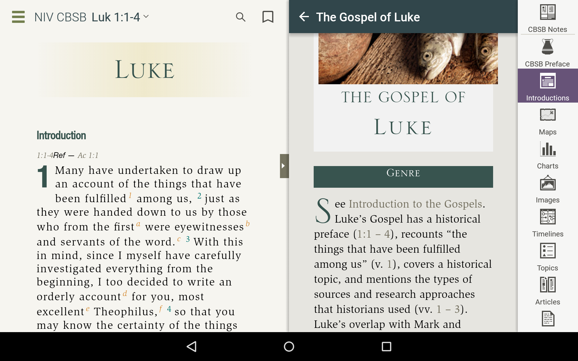 NIV Cultural Backgrounds Study Bible - Thumbnail 4