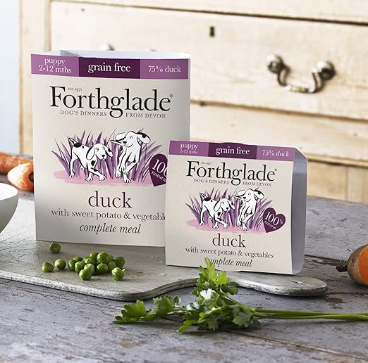 sainsburys forthglade