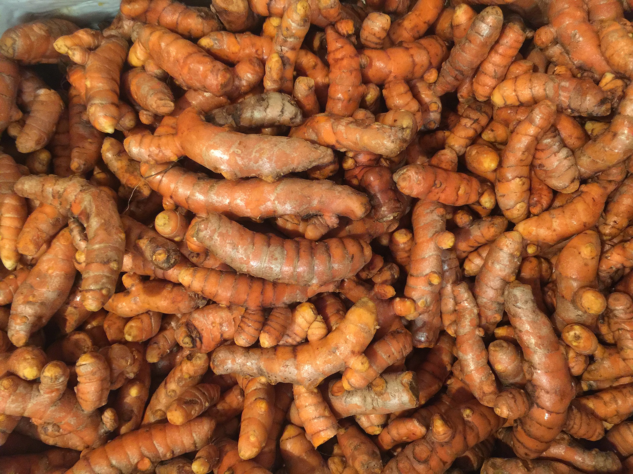 USDA Organic Turmeric Whole Raw Root Buy Online in UAE. Grocery