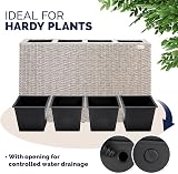 CASARIA Flower Box 4 Inner Pots Polyrattan Cream Outdoor Planter Rectangular view 5