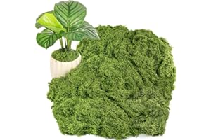 DRAUPNIR Fake Green Moss for Potted Plants, 10.6OZ Moss Decor Artificial Faux Moss for Crafts Preserved Moss for DIY Decorative Moss Table Centerpieces Decor Fairy Garden Floral Wedding (300g) (Dark Green)