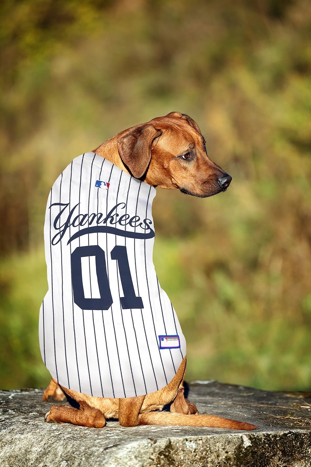 mets dog jersey