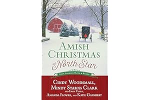Amish Christmas at North Star: Four Stories of Love and Family