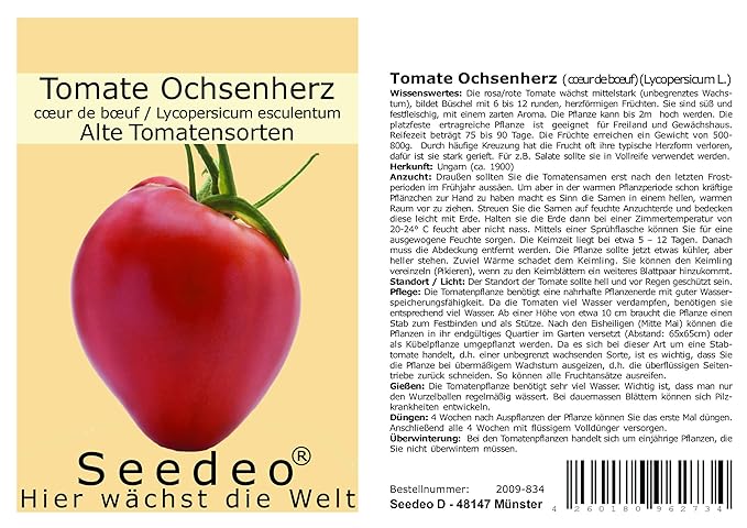 Tomate Ochsenherz (Cuor di bue) (Lycopersicum L.) 25 Samen Reinsaat