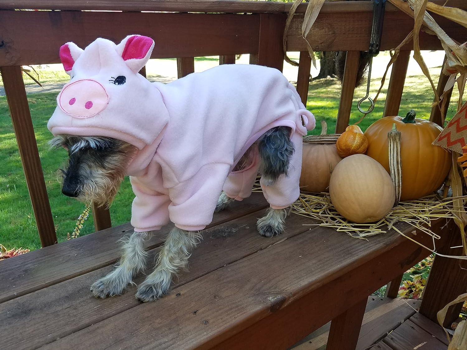 Dog Pig Costume Pet Pig Cat Pig Costume Handmade