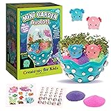 Creativity for Kids Mini Garden: Axolotl Terrarium