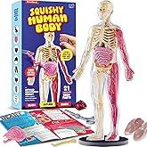 Dan&Darci Human Anatomy Squishy Body Model - Science Kits for Kids Ages 4-8 - STEM Toys for 4 5 6 7 8 Year Old Boy Birthday G