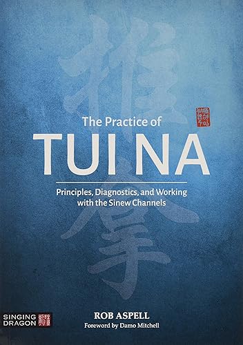 Download The Practice of Tui Na PDF
