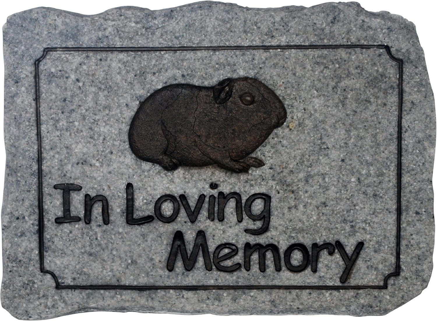 guinea pig remembrance