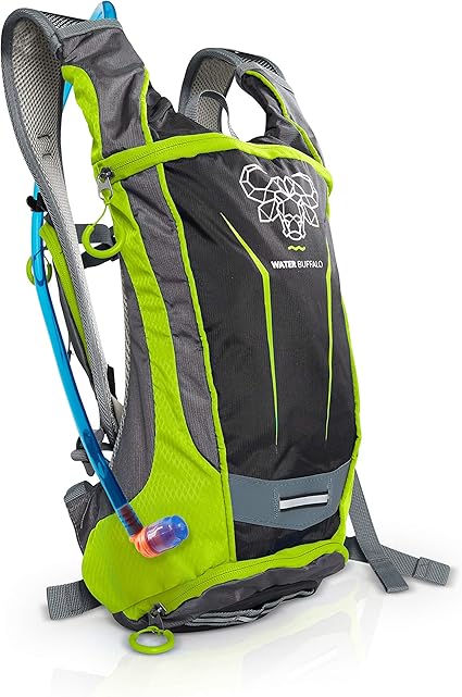 2 pocket backpack