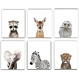 designs by maria inc safari baby animals nursery decor art