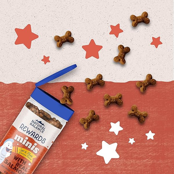 NATURAL BALANCE LIMITED INGREDIENT MINI-REWARDS SALMON GRAIN-FREE DOG TRAINING TREATS FOR DOGS | 5.3 OUNCE CANISTER