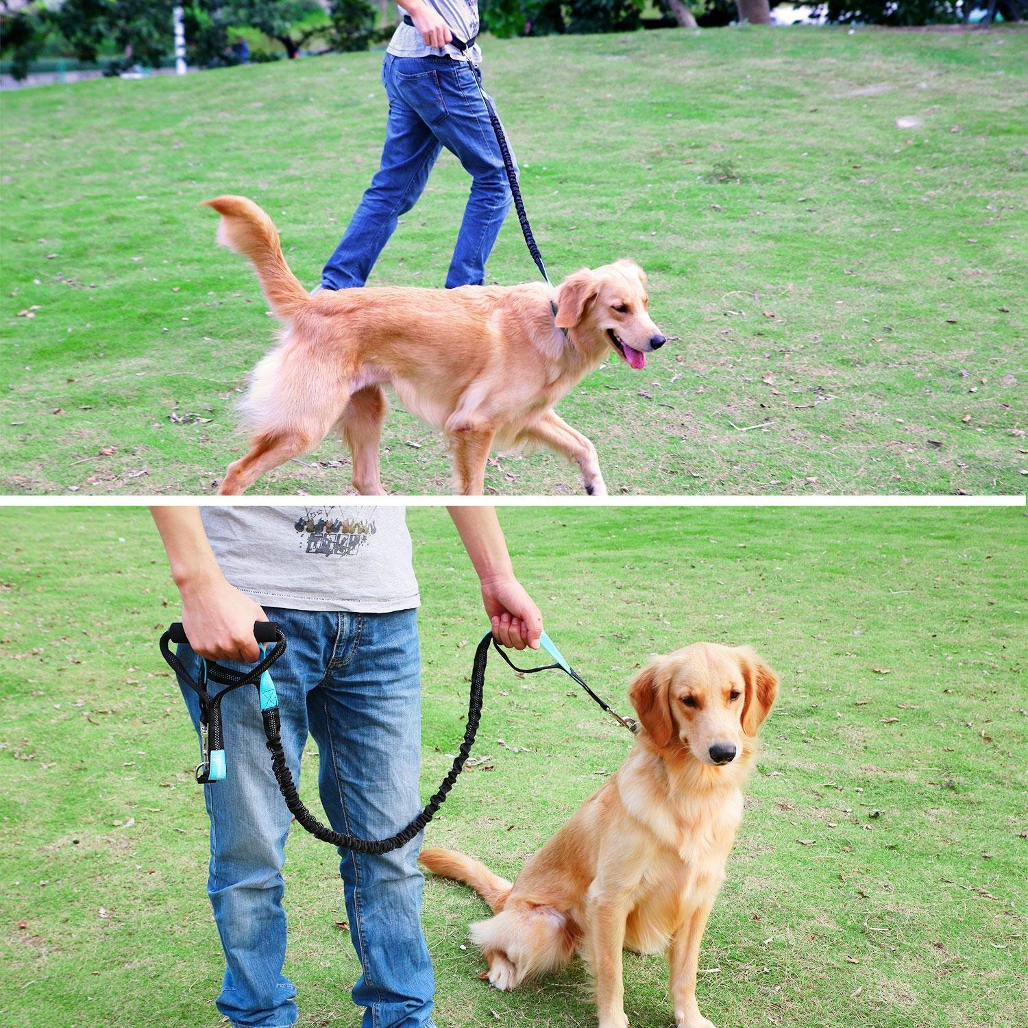 Pecute Hands Free Dog Leash with Extra Foam Handle - Extendable Bungee with Reflective Stitching - Waist Belt Adjustable Fits up to 48” Waist - For Jogging, Running, Hiking (Grey and Green)