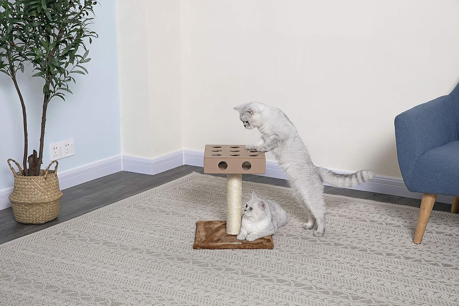 iq box cat tree
