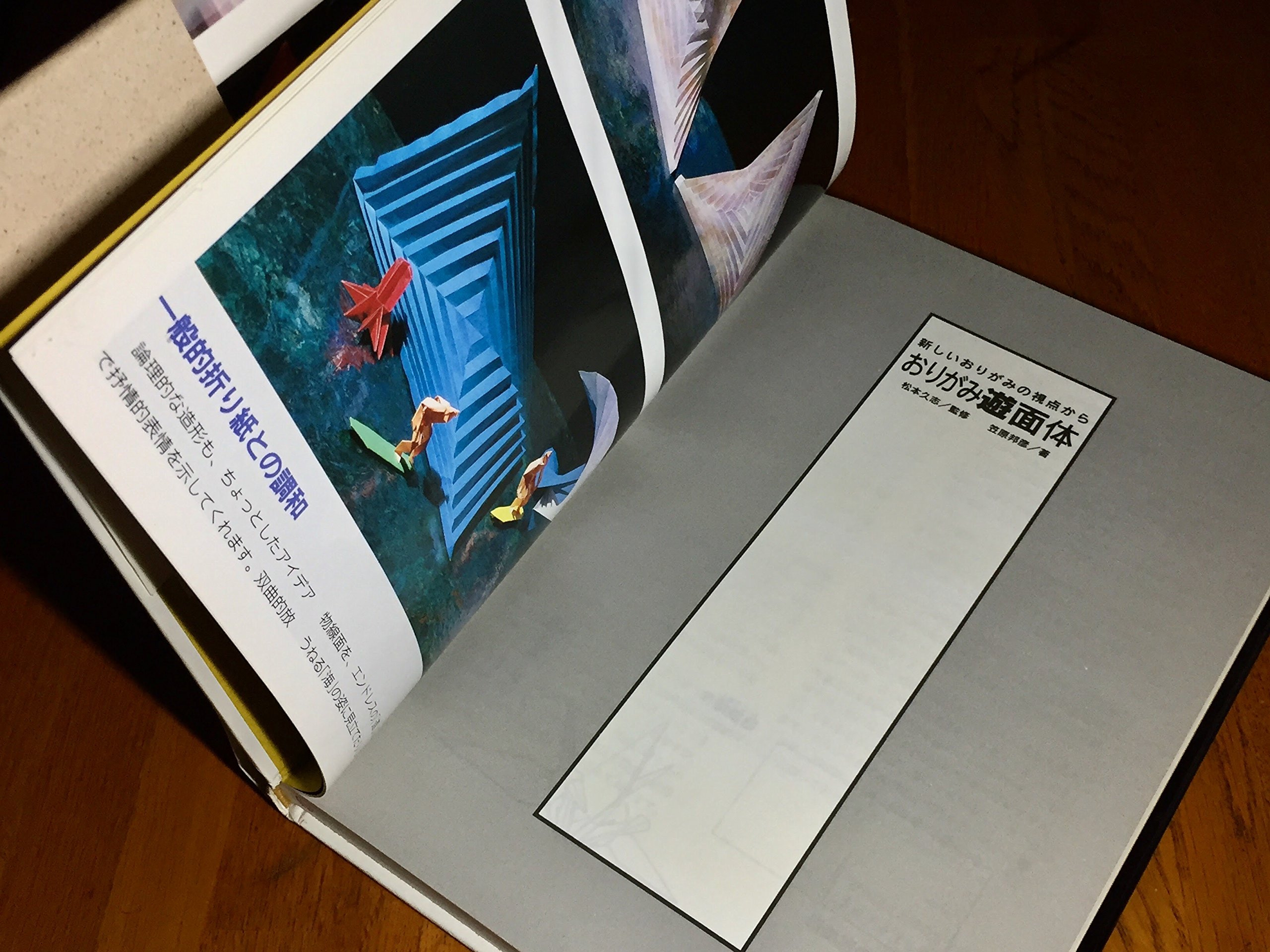 おりがみ遊面体 新しいおりがみの視点から ビバ おりがみシリーズ Amazon Com Books