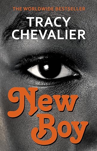 Download New Boy PDF