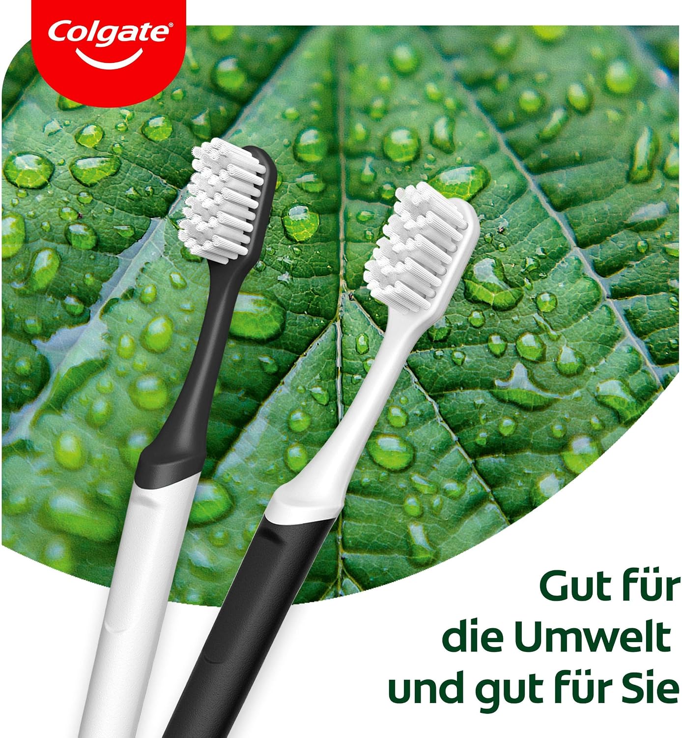 Colgate RecyClean Toothbrush, Medium, Pack of 1, Manual Toothbrush with Plant-Based Bristles and Handle Made from 100% Recycled Plastic - Image 5