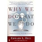 Why We Do What We Do: Understanding Self-Motivation