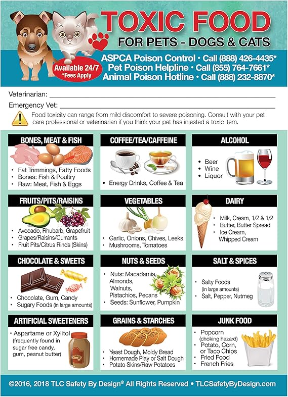 is rhubarb dangerous for dogs