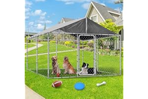 GIODIR 10x10FT Outdoor Dog Kennel with Roof, Heavy Duty Dog Run House Pen Enclosure Kennel Outside with Galvanized Chain Link, Large Dog Kennel House with Lock Waterproof for Outside Backyard