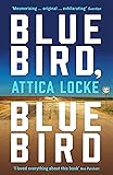 BLUEBIRD, BLUEBIRD