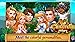 Cinderella Story: Adventures in the Magic Kingdom