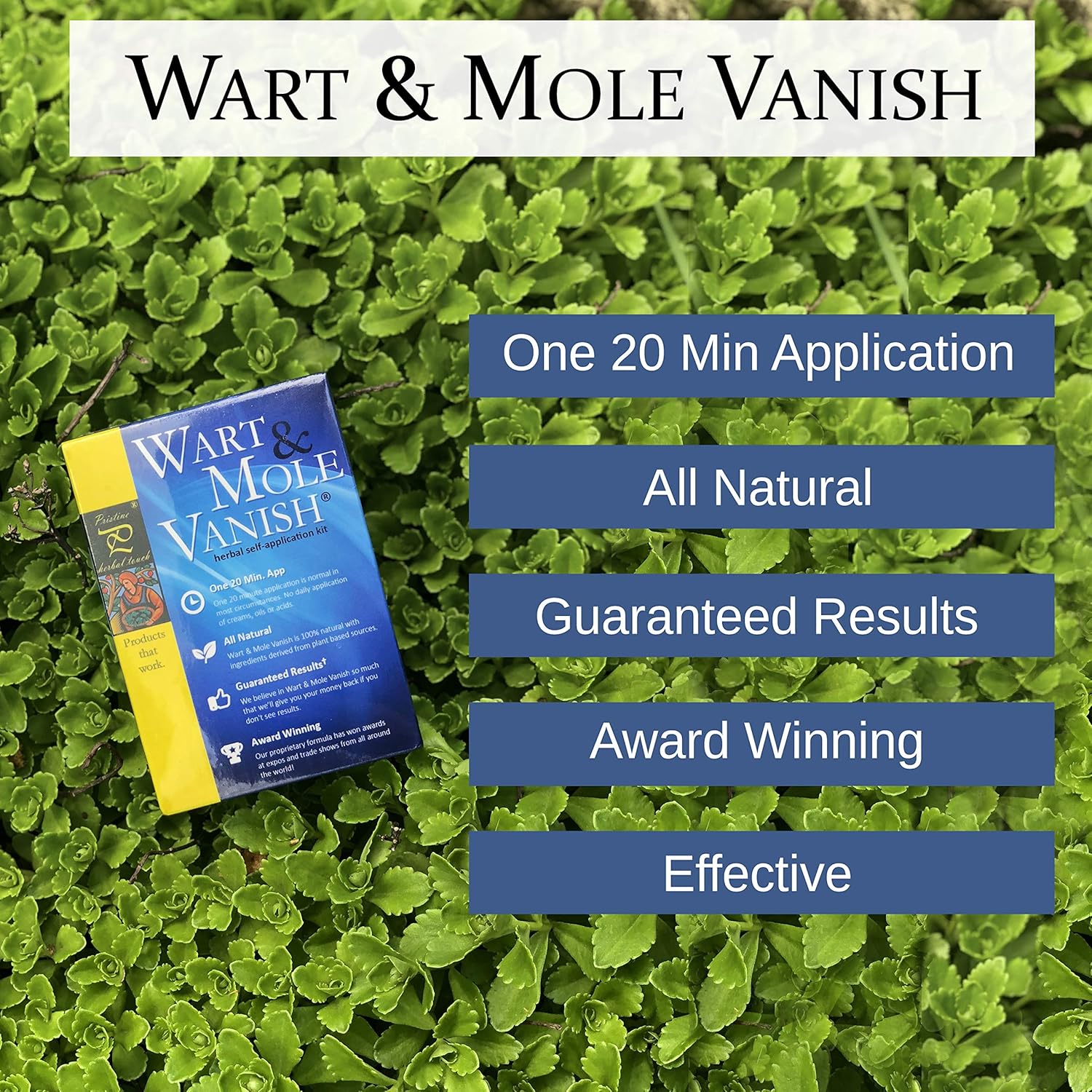 Pristine Herbal Touch - Wart & Mole Vanish, All Natural Mole & Skin Tag Remover (Fast Results, 20 Minute Application) Award Winning, Best Mole Remover, Best Wart Remover, Fast & Effective, All Natural : Beauty