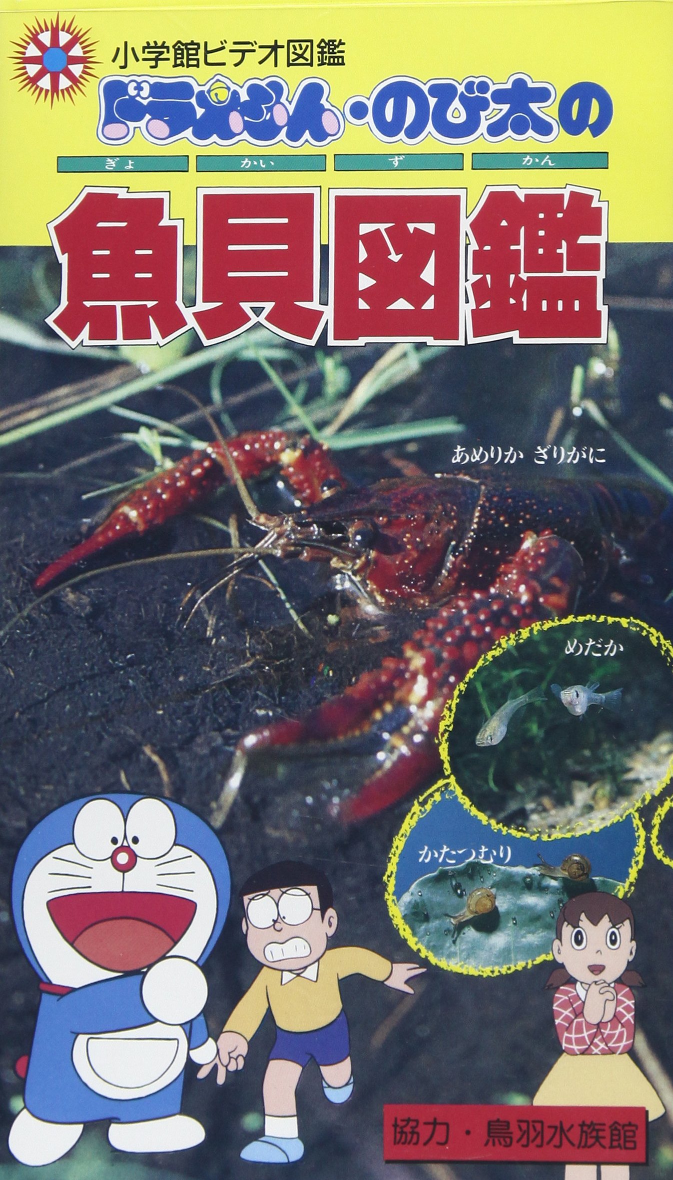 ドラえもんのび太の魚貝図鑑 教材用 本 通販 Amazon