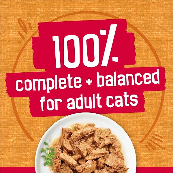 PURINA FRISKIES PRIME FILETS WITH CHICKEN IN WET CAT FOOD GRAVY – (PACK OF 24) 5.5 OZ. CANS