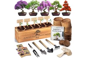 AVERGO DIY Bonsai Tree Kit for Beginners – 5X Unique Japanese Bonzai Trees, Complete Indoor Bonsai Starter Kit for Growing Bonsai Plants w/Tools & Planters – DIY Christmas Gardening Gifts for Mom