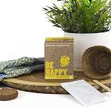 Gift Republic Grow Me Be Happy Sunflower Grow Kit Pack of 2 view 5