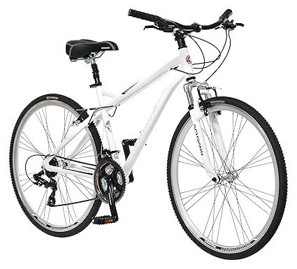 schwinn holly