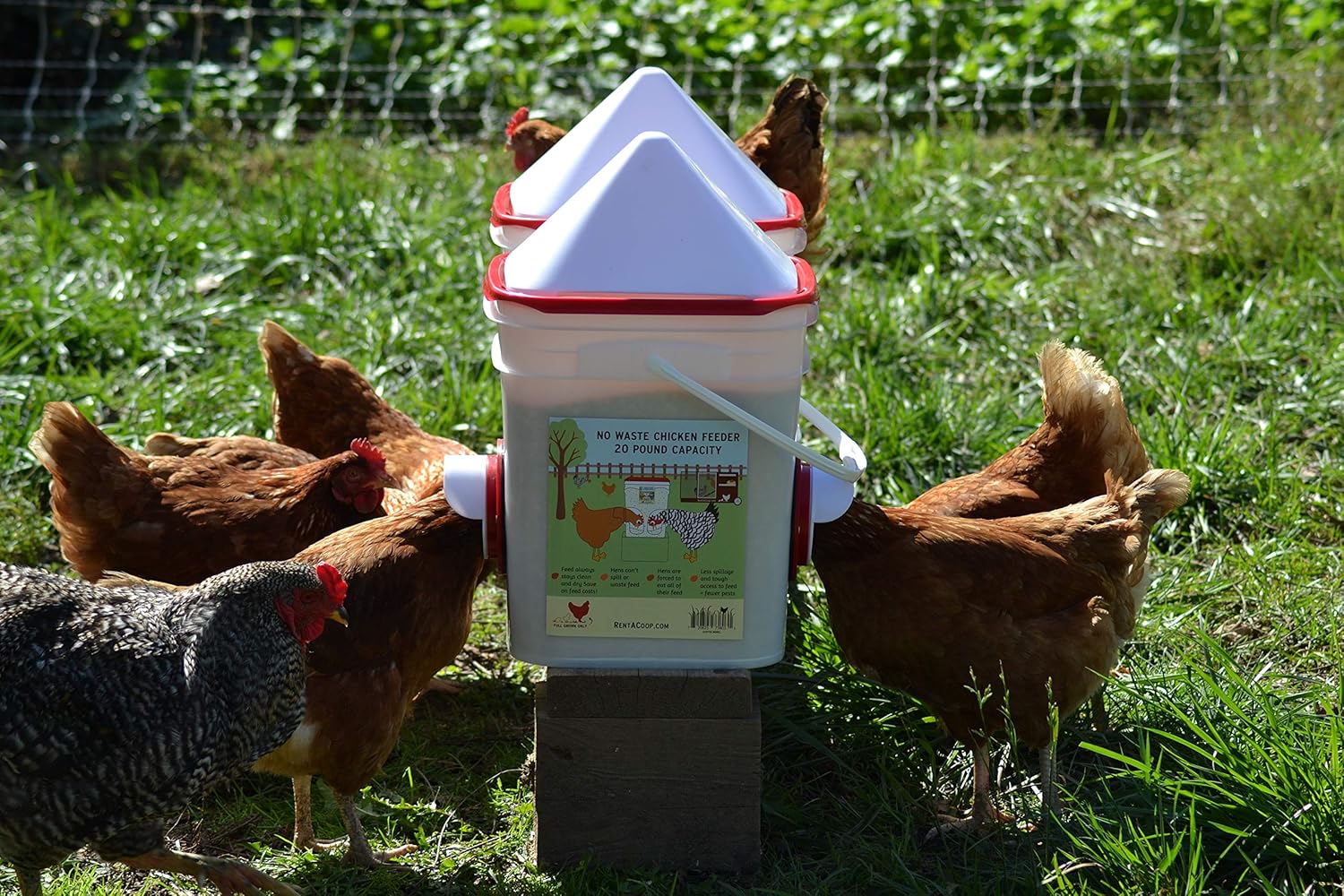 Amazon Com Chicken Feeder Holds 20 Pounds Pellets Crumbles Grain