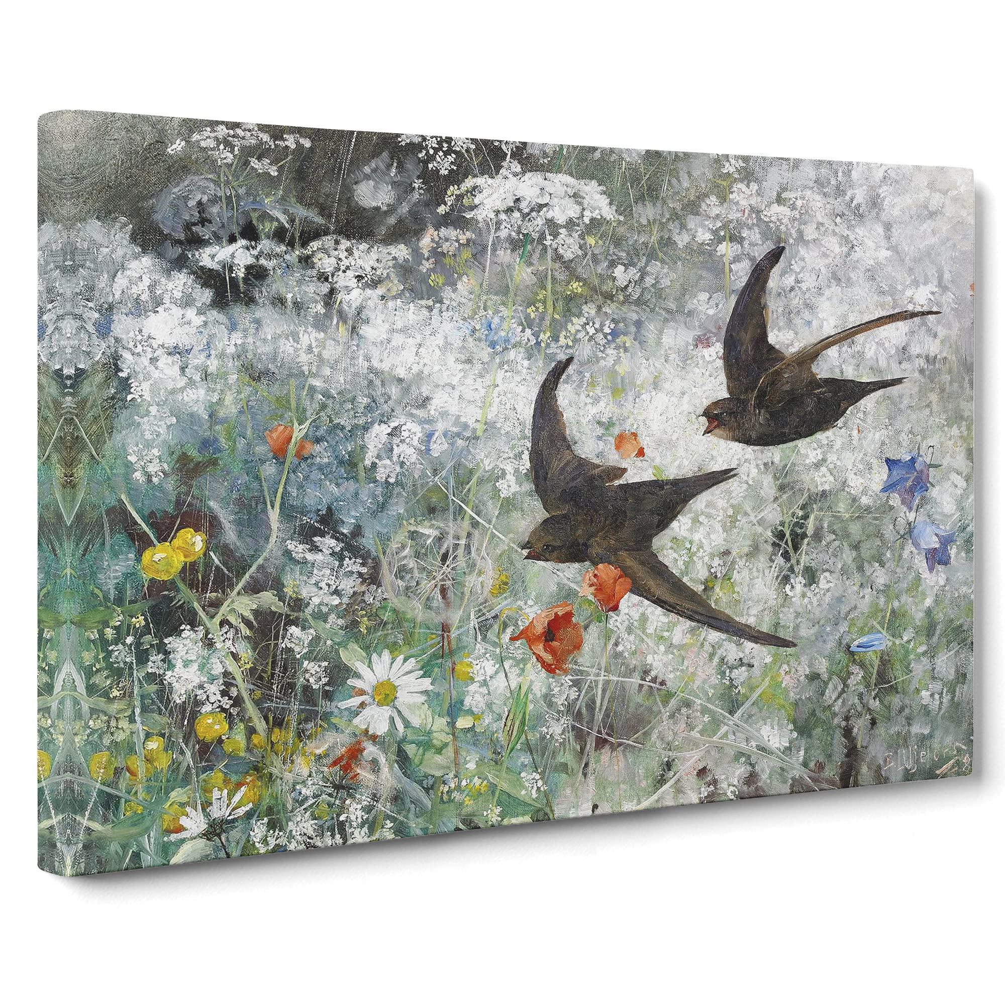 Common Swift Birds By Bruno Liljefors Canvas Print | Gallery Wrapped 30mm Frame Wall Art | 20x14 inches | Ready to Hang | Classic Bird Picture | Living Room Bedroom Lounge Office