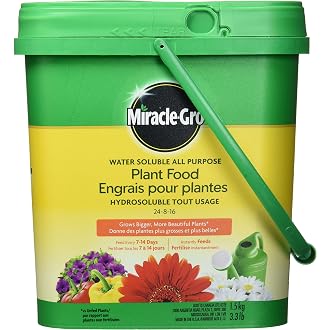 Miracle Gro All Purpose Concentrated Liquid Plant Food, 800ml - View 5