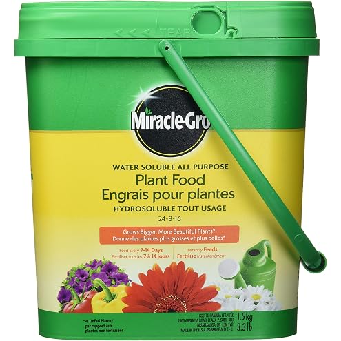 Miracle Gro All Purpose Concentrated Liquid Plant Food, 800ml - View 6